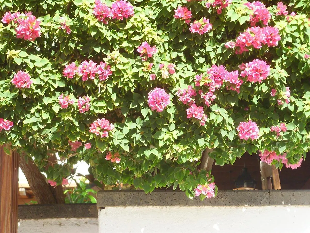Casa La Tahonilla Apartment Tias
